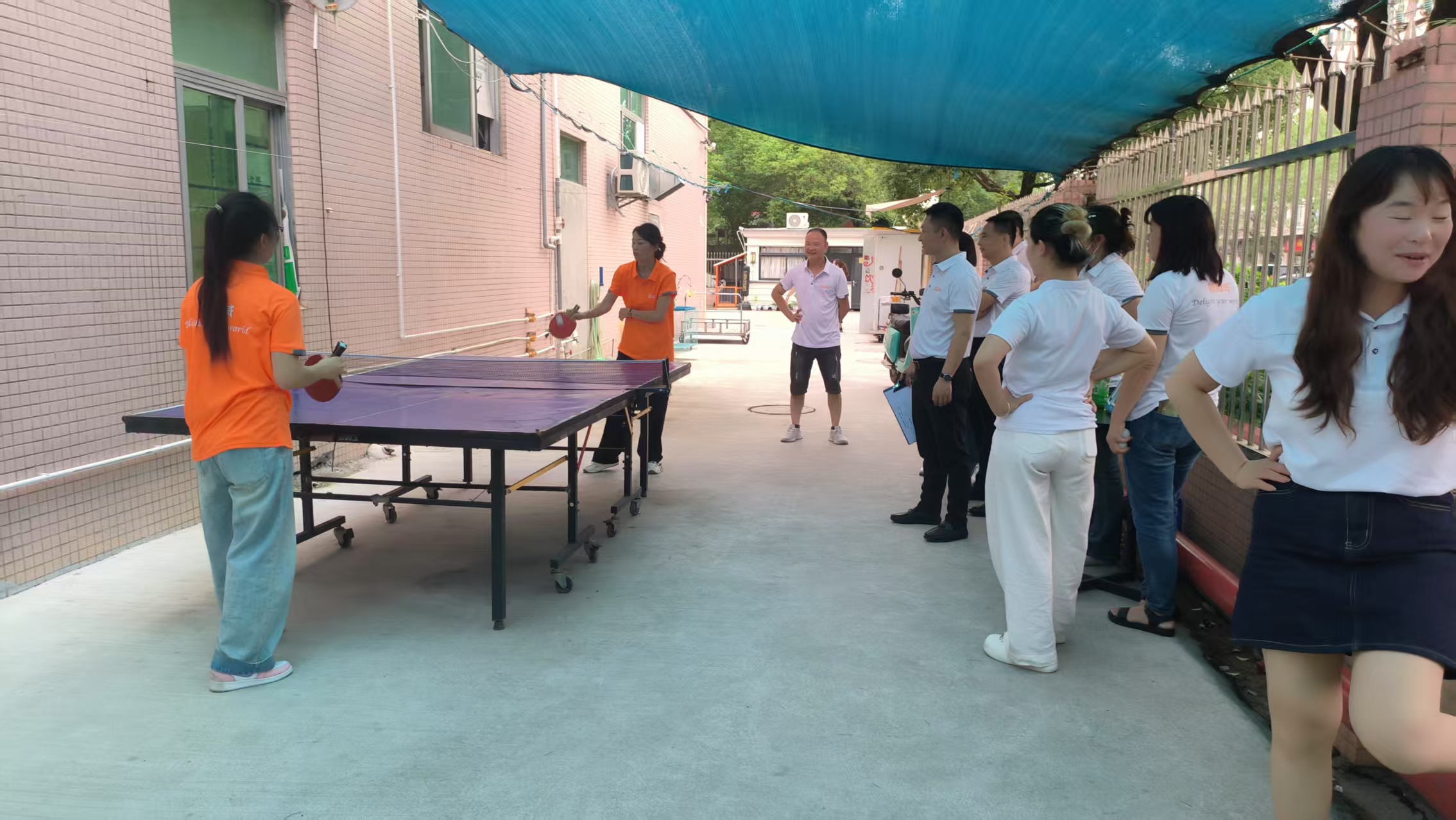 乒乓球3 乒乓球3