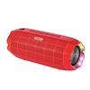 DR101 LED Outdoor Speaker