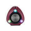 DR-108 LED Outdoor Speaker