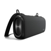 A32 100W Outdoor Speaker with removable carrying strap
