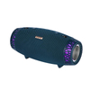 DR-205 LED Outdoor Speaker