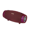 DR-205 LED Outdoor Speaker