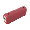 A32 100W Outdoor Speaker with removable carrying strap