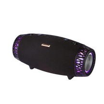 DR-205 LED Outdoor Speaker